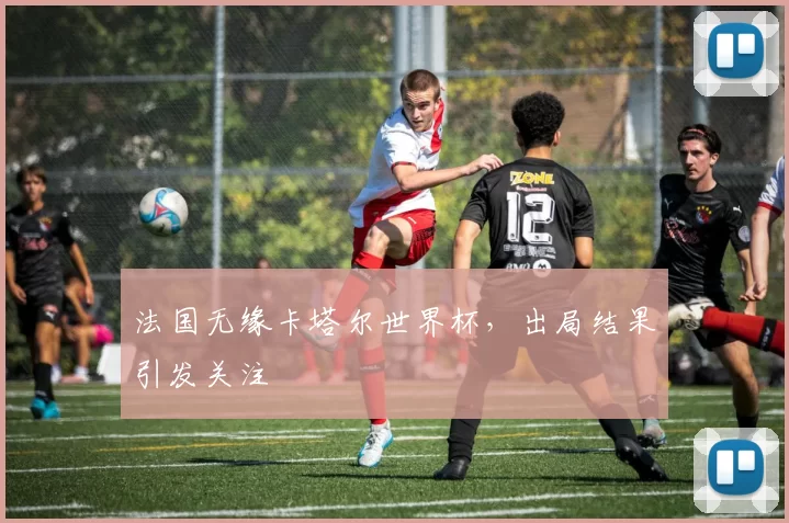 法国无缘卡塔尔世界杯，出局结果引发关注