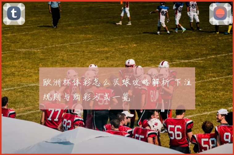 欧洲杯体彩怎么买球攻略解析 下注规则与购彩方式一览