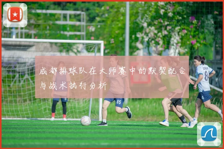 成都排球队在大师赛中的默契配合与战术执行分析