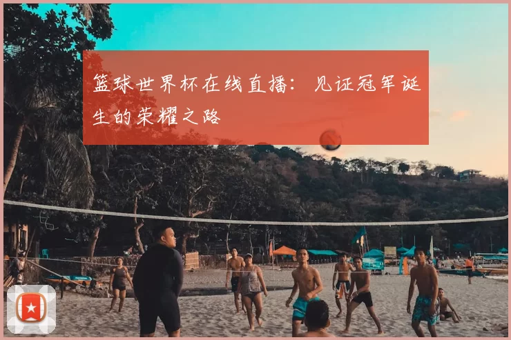 篮球世界杯在线直播：见证冠军诞生的荣耀之路