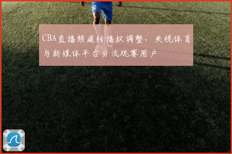 CBA直播频道转播权调整,央视体育与新媒体平台分流观赛用户