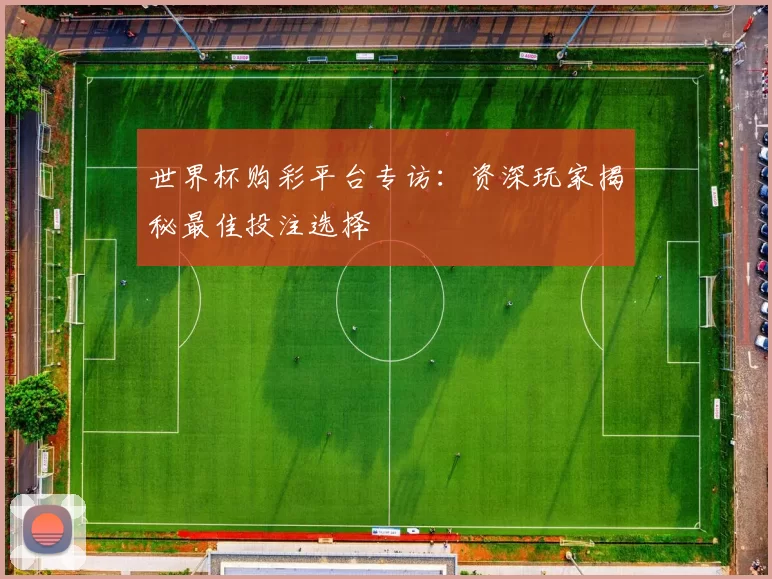 世界杯购彩平台专访:资深玩家揭秘最佳投注选择