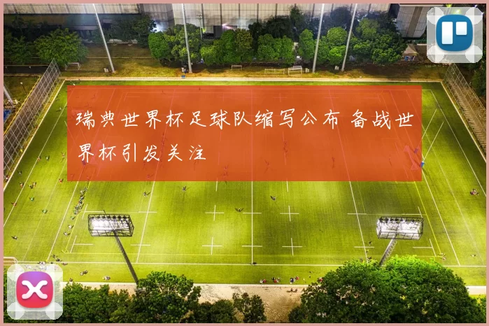 瑞典世界杯足球队缩写公布 备战世界杯引发关注