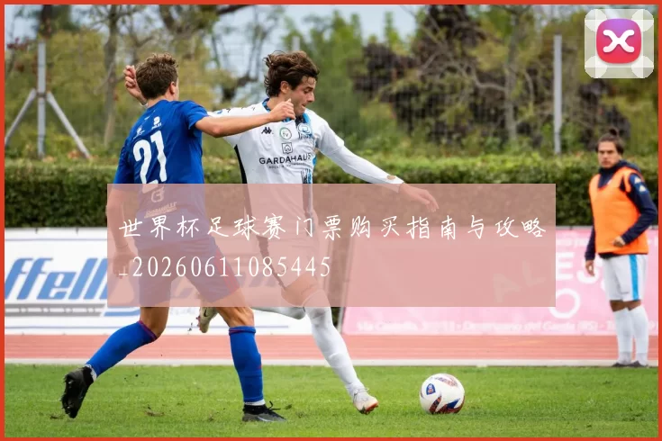 世界杯足球赛门票购买指南与攻略_20260611085445