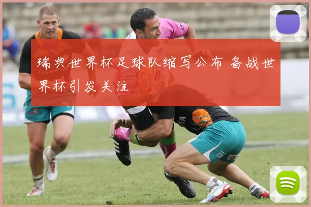 瑞典世界杯足球队缩写公布 备战世界杯引发关注