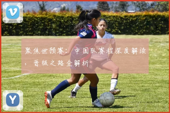 聚焦世预赛：中国队赛程深度解读，晋级之路全解析
