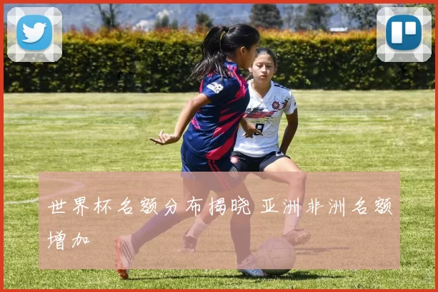 世界杯名额分布揭晓 亚洲非洲名额增加