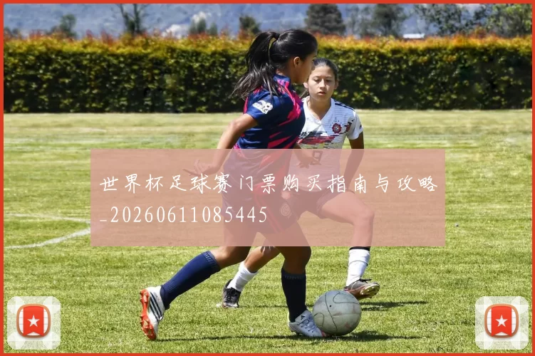 世界杯足球赛门票购买指南与攻略_20260611085445