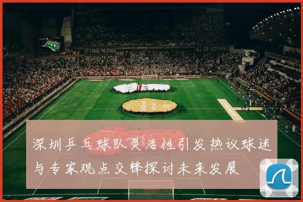 深圳乒乓球队灵活性引发热议球迷与专家观点交锋探讨未来发展